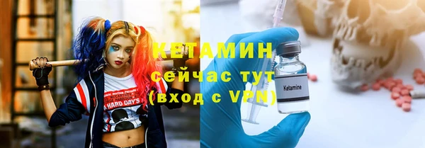 шишки Абаза