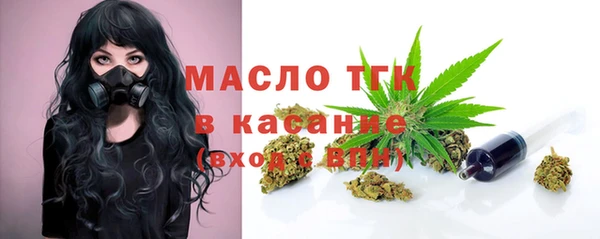 мет Алексин