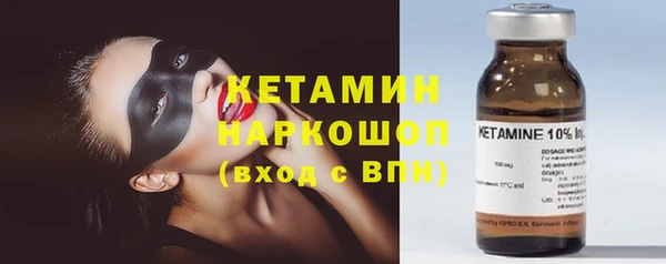 шишки Абаза