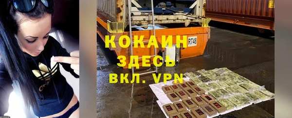 шишки Абаза