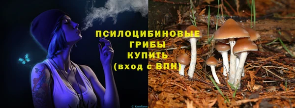 шишки Абаза
