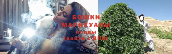 шишки Абаза