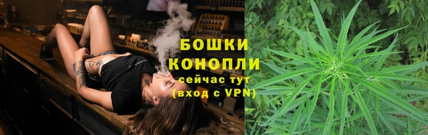 шишки Абаза