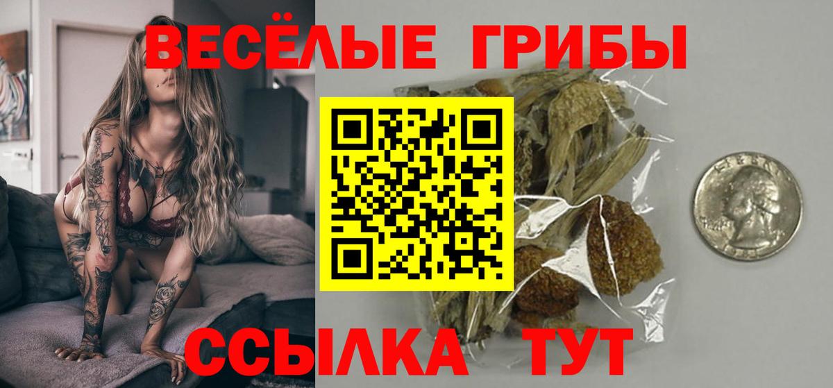 Псилоцибиновые грибы мицелий Грязи