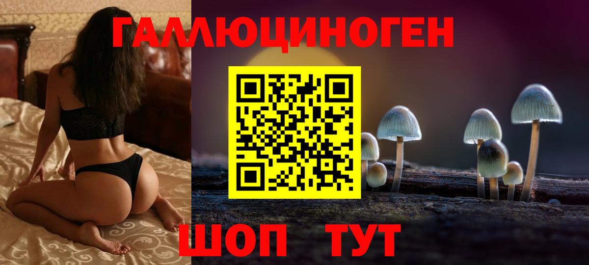 Грязи  Псилоцибиновые грибы мицелий  Псилоцибиновые грибы Psilocybine cubensis  Вход с VPN 