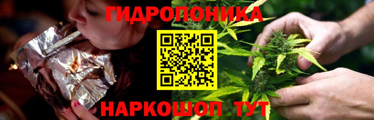 Каннабис планчик  Вход с VPN  Бошки Шишки OG Kush  Грязи  Канабис OG Kush 